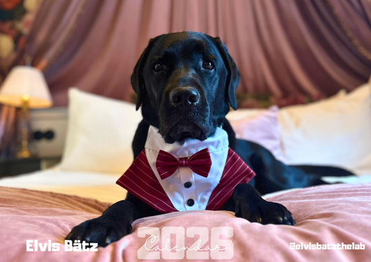 ELVIS CALENDAR 2026!