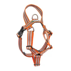 Metizo Harness